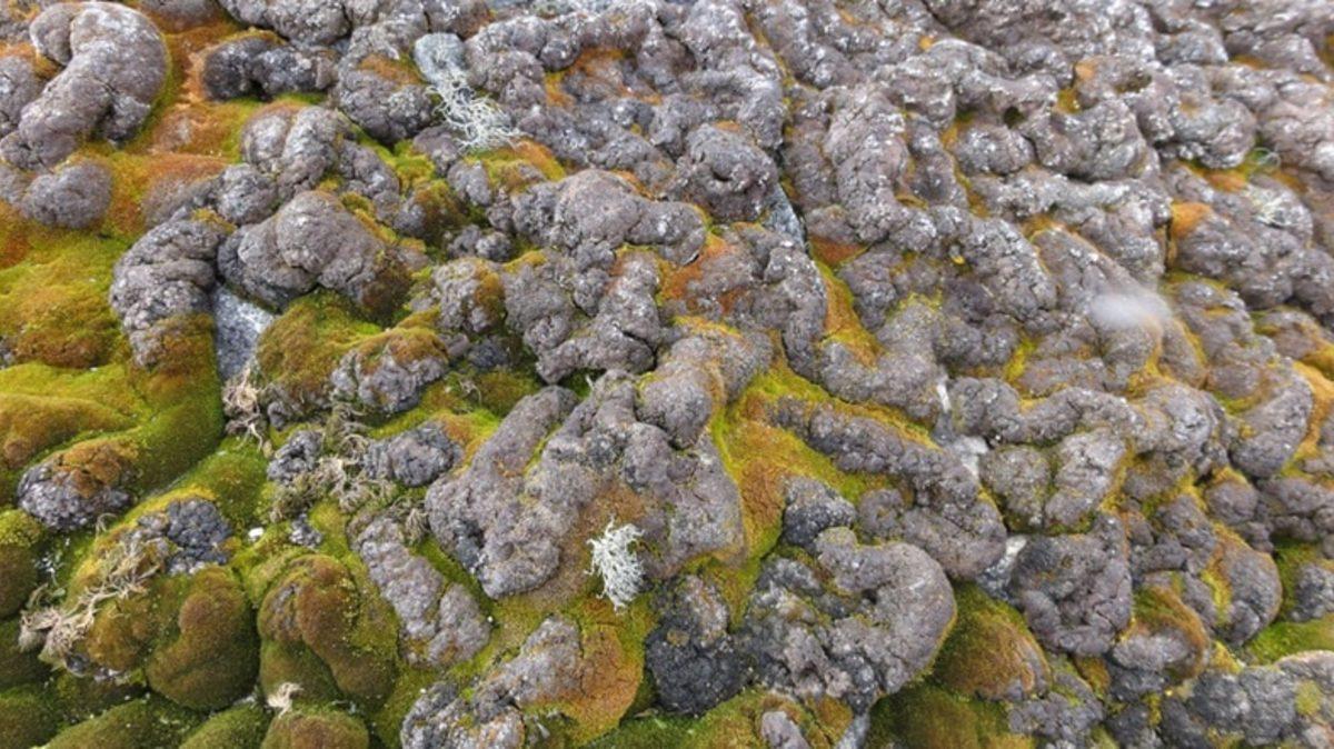 İklim Değişikliğinin Korkunç Etkilerini Gösteren Fotoğraflar