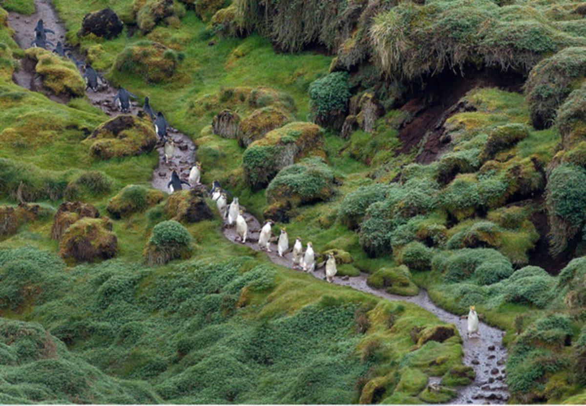 İklim Değişikliğinin Korkunç Etkilerini Gösteren Fotoğraflar