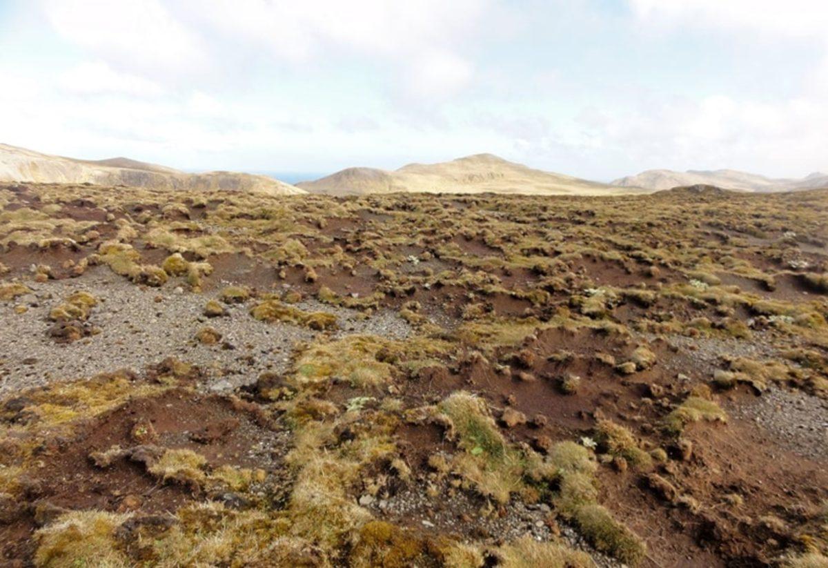İklim Değişikliğinin Korkunç Etkilerini Gösteren Fotoğraflar