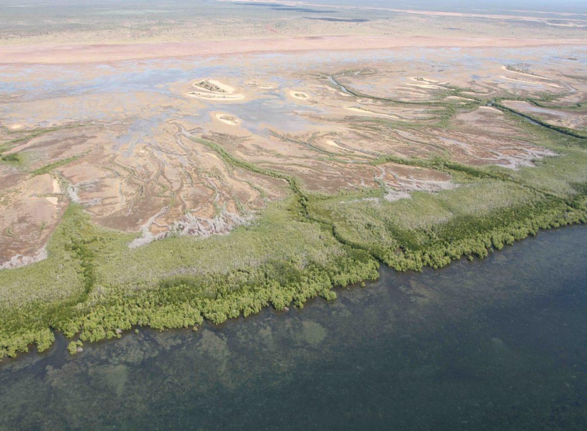 İklim Değişikliğinin Korkunç Etkilerini Gösteren Fotoğraflar