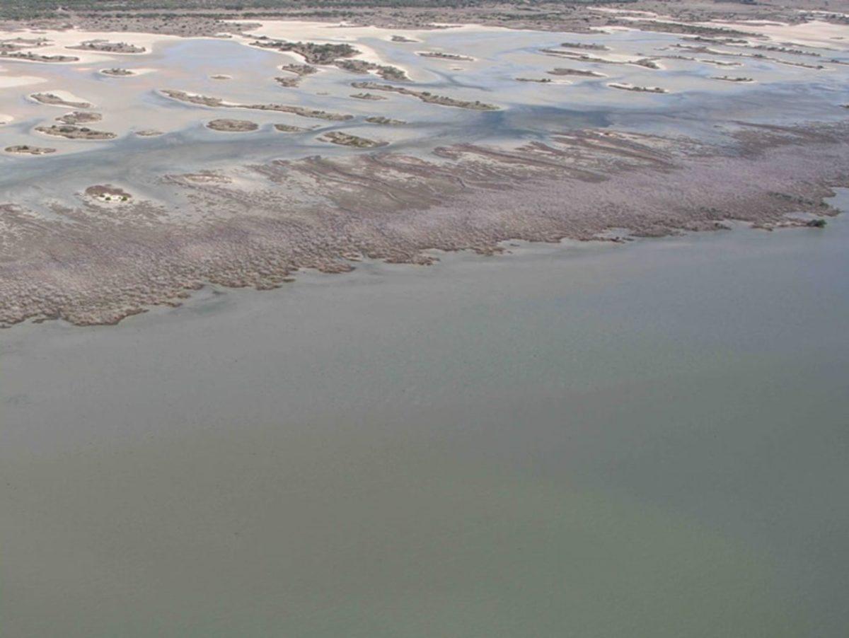 İklim Değişikliğinin Korkunç Etkilerini Gösteren Fotoğraflar