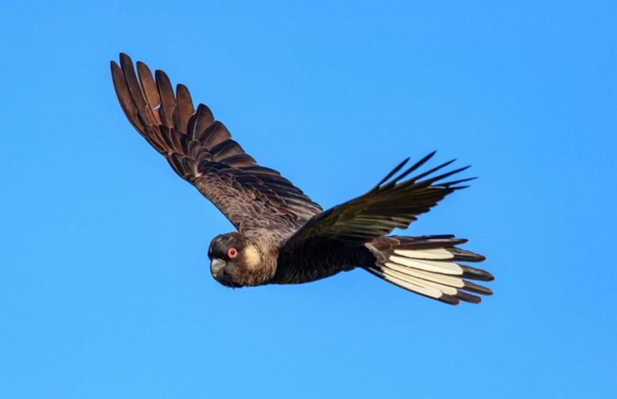 İklim Değişikliğinin Korkunç Etkilerini Gösteren Fotoğraflar