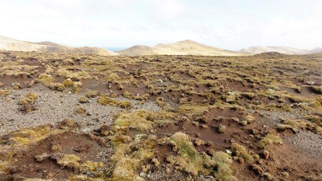 İklim Değişikliğinin Korkunç Etkilerini Gösteren Fotoğraflar