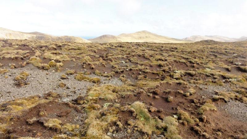 İklim Değişikliğinin Korkunç Etkilerini Gösteren Fotoğraflar