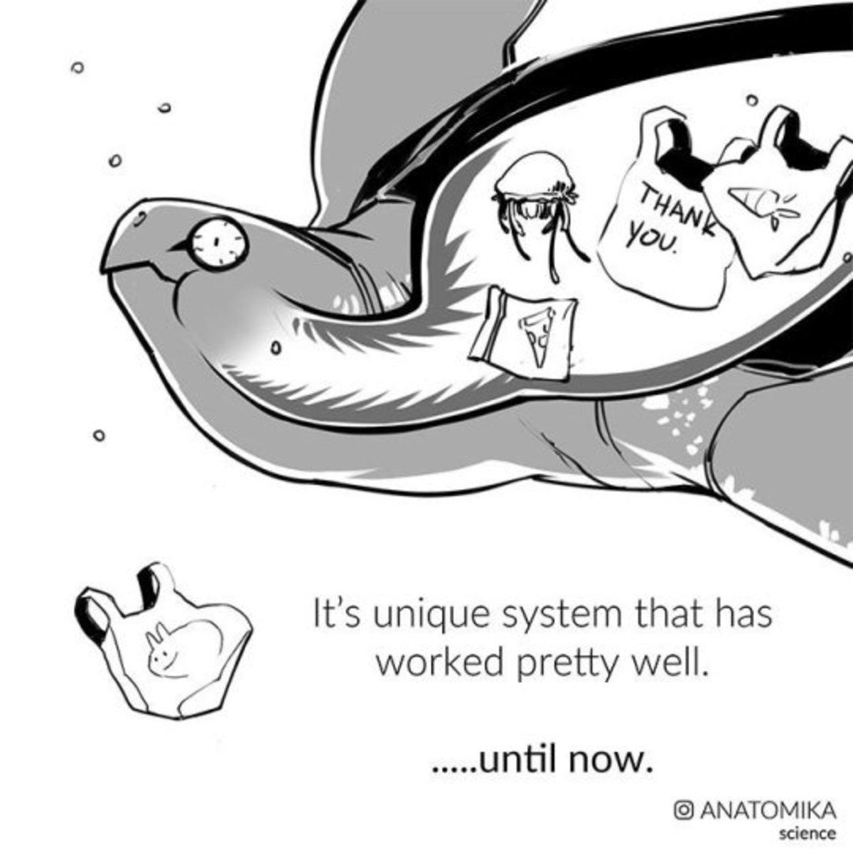 Deniz Kaplumbağalarının Onlarca Dikenin Bulunduğu, Ürkütücü Ağız Yapısı