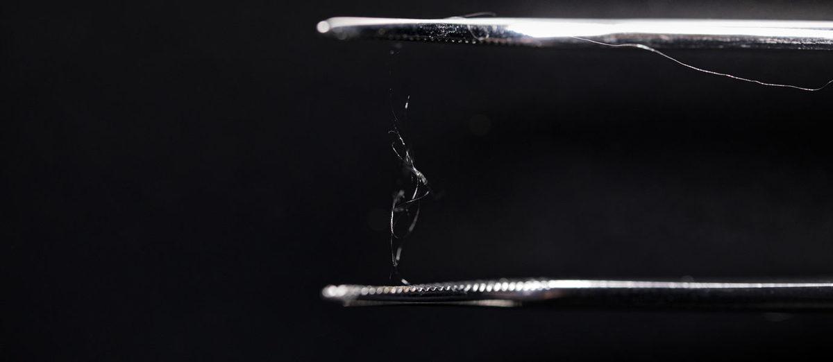 Plastiğe Karşı Geliştirilen Müthiş Alternatif: Ağaç Lifi ve Örümcek Ağı Birleşimi