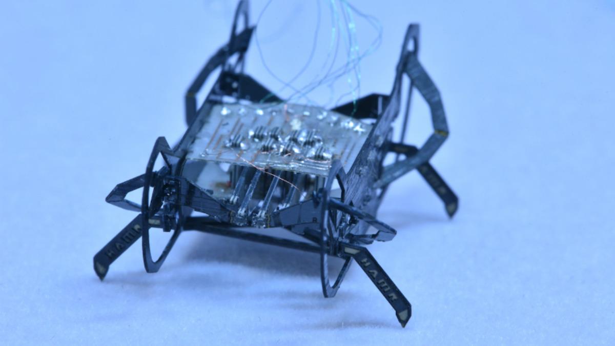 Harvard Araştırmacıları, Dünyanın En Küçük Böcek Robotlarından Birini Üretti
