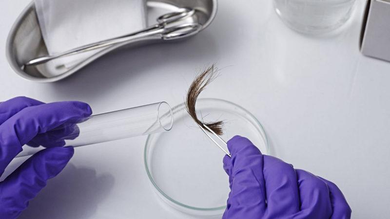 Bu Bilim İnsanı, Yıllardır Seri Katillerin Saçlarını Topluyor: İşte Sebebi