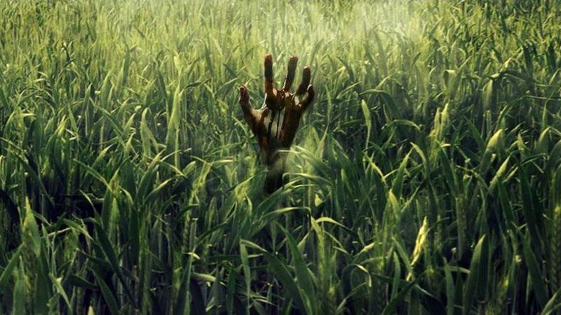 Netflix, Stephen King Eseri ‘In The Tall Grass’ın Fragmanını Yayınladı