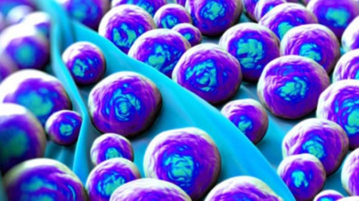 Araştırmalara Göre Bazı İnsanlar, MRSA’ya Karşı Genetik Korumaya Sahip