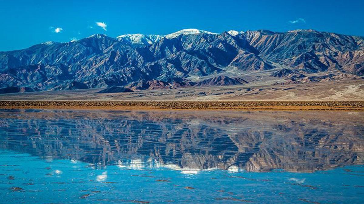 Instagram’daki Telif Hakları Konusu, İlginç Bir Davayla Çıkmaza Girdi