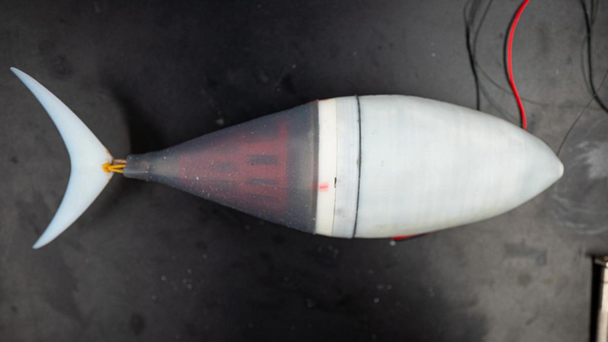 Gerçeği Kadar İyi Yüzebilen Robotik Balık: Tunabot