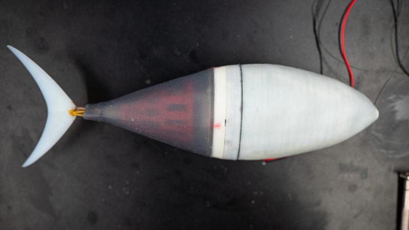 Gerçeği Kadar İyi Yüzebilen Robotik Balık: Tunabot