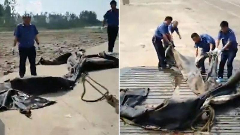 Çinli Araştırmacıların Gözlemlediği “Loch Ness” Canavarı, Kocaman Bir Lastik Çıktı