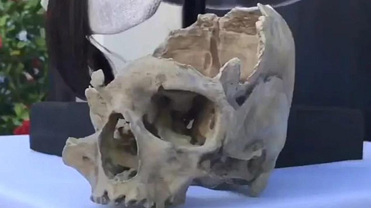 Araştırmacılar, 7.500 Yıl Önce Yaşamış Bir Anadolu Kadınının Yüzünü Modelledi