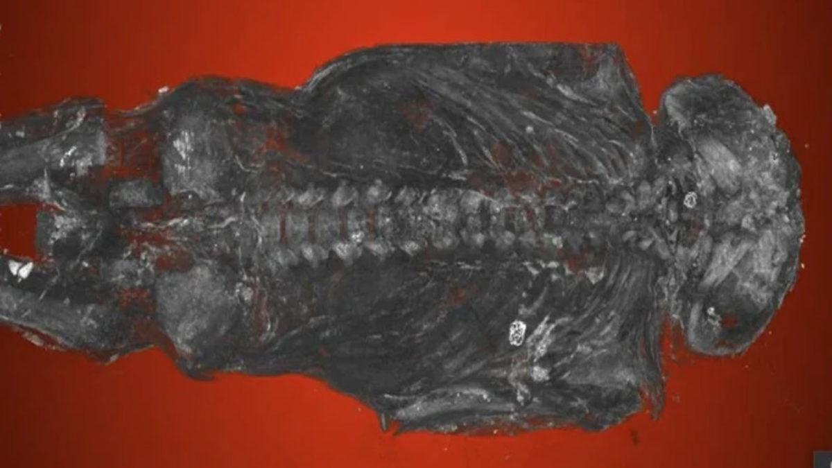 Mısır’daki 2100 Yıllık Gizemli Mumyanın Sırrı Çözüldü (Video)