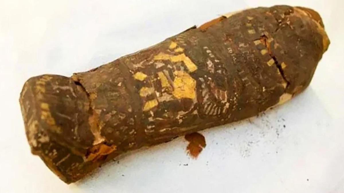 Mısır’daki 2100 Yıllık Gizemli Mumyanın Sırrı Çözüldü (Video)