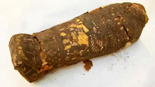 Mısır’daki 2100 Yıllık Gizemli Mumyanın Sırrı Çözüldü (Video)