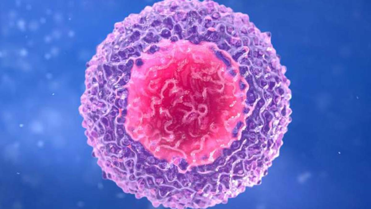 Vücudumuzdaki Hücreler, Kimliklerini Nasıl Koruyor?