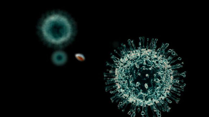 Gerçek Zamanlı Görüntü Sağlayan Ultra Yüksek Çözünürlüklü Mikroskop Geliştirildi