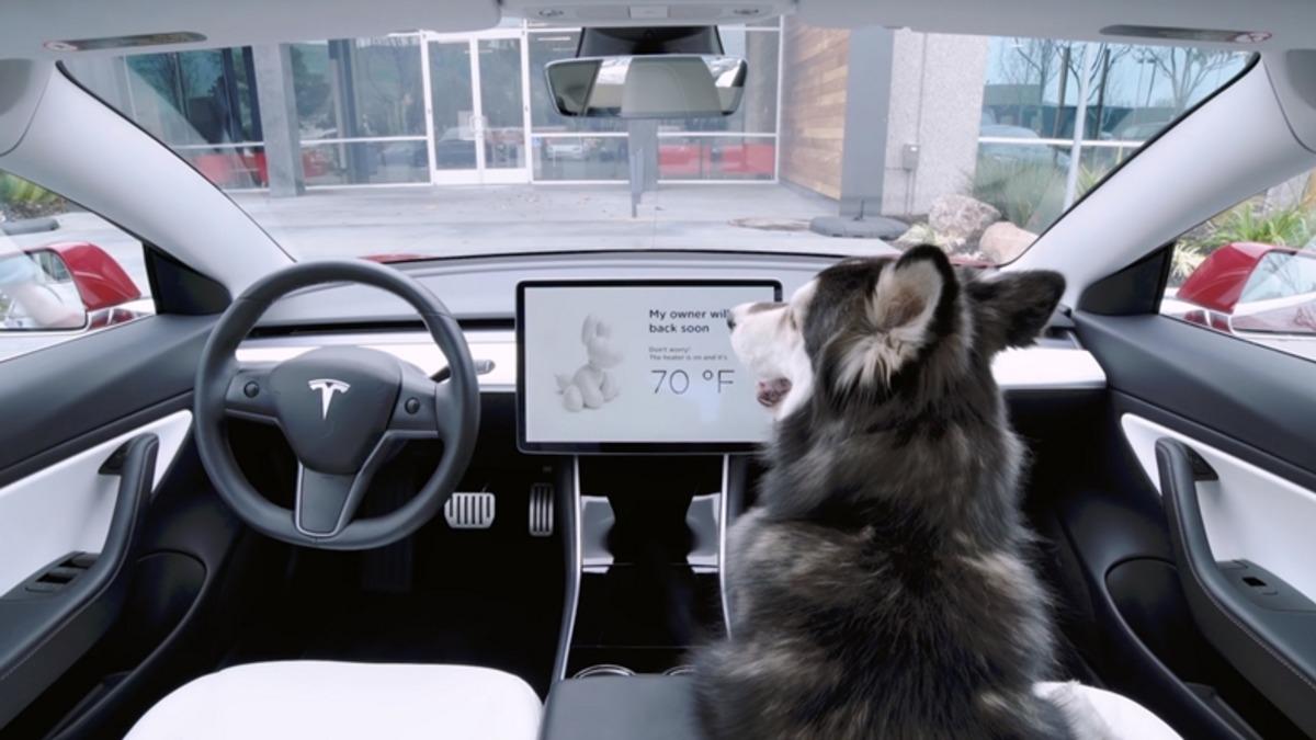 Tesla Araçlardaki Özellik, Bir Sürücünün Ceza Almasını Önledi