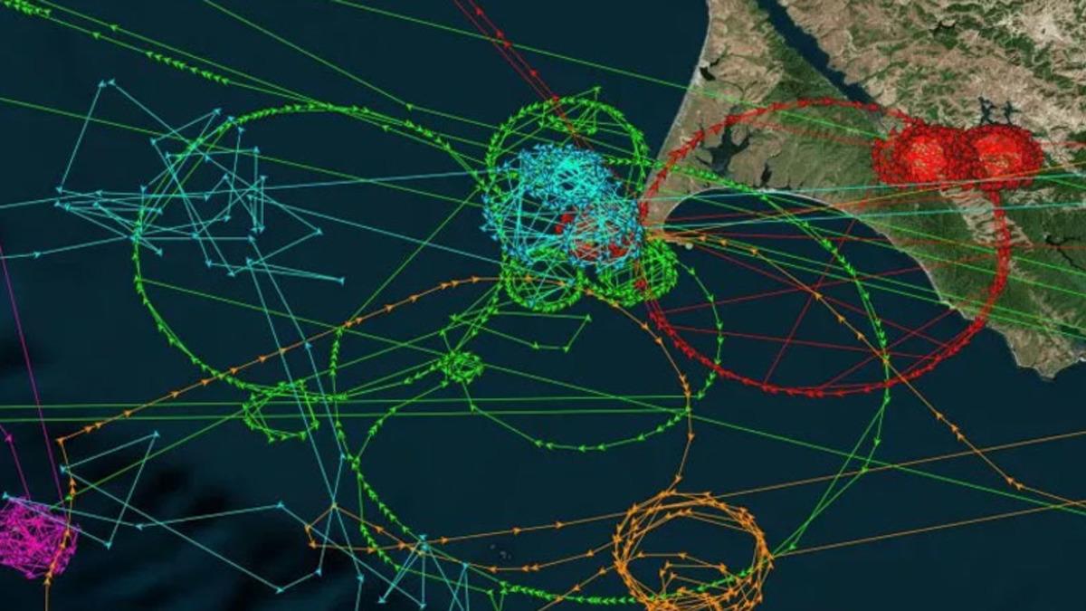 GPS’te San Francisco Kıyılarında Seyreden ’Hayalet Gemiler’ Keşfedildi
