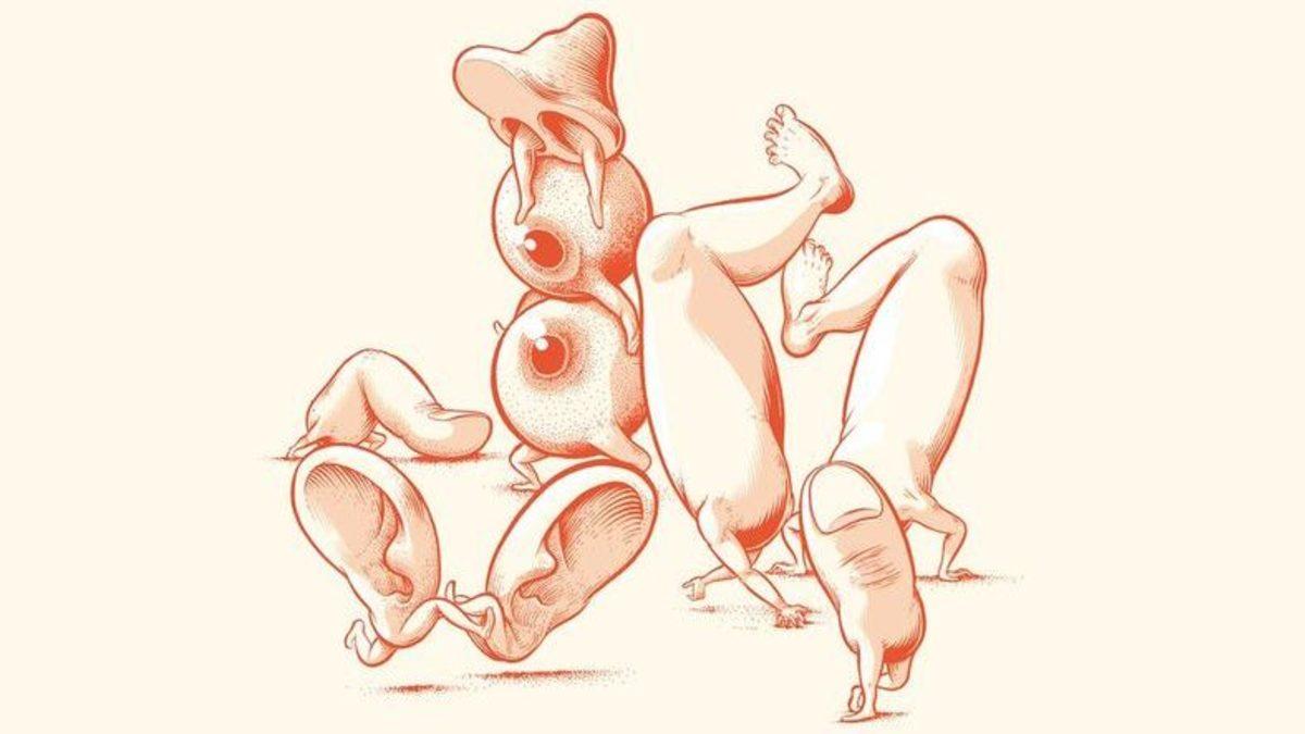 Bilim İnsanları, Organlarımızın Bugünkü Şekillerinin Nedenlerini Açıkladı