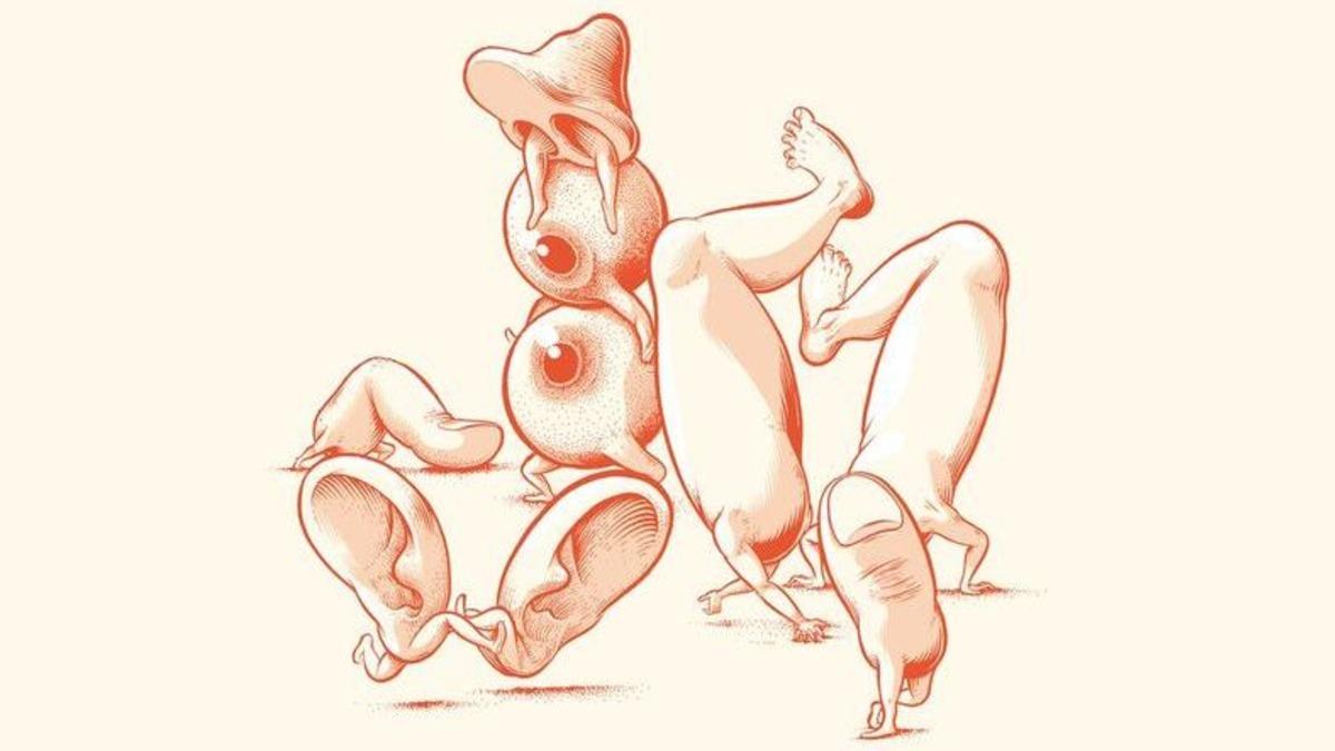 Bilim İnsanları, Organlarımızın Bugünkü Şekillerinin Nedenlerini Açıkladı