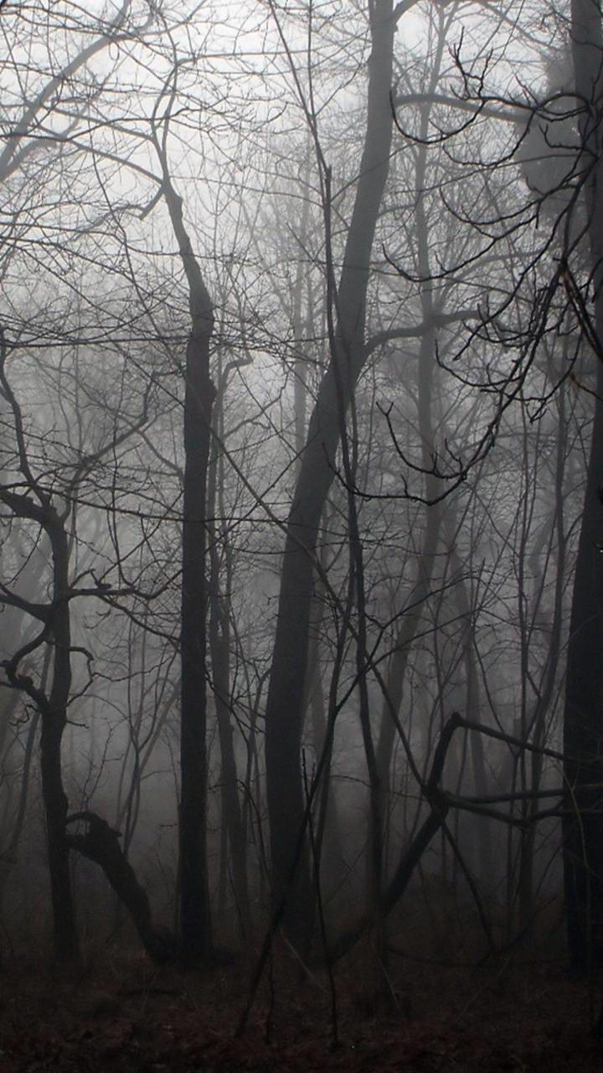 Tüm Akıllı Telefonlar İçin En İyi 70 Zedge Duvar Kağıdı