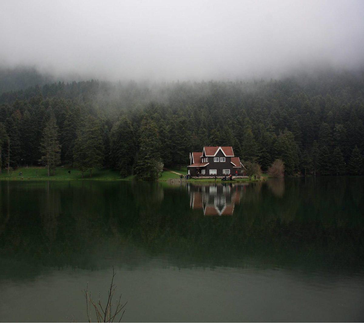 Tüm Akıllı Telefonlar İçin En İyi 70 Zedge Duvar Kağıdı