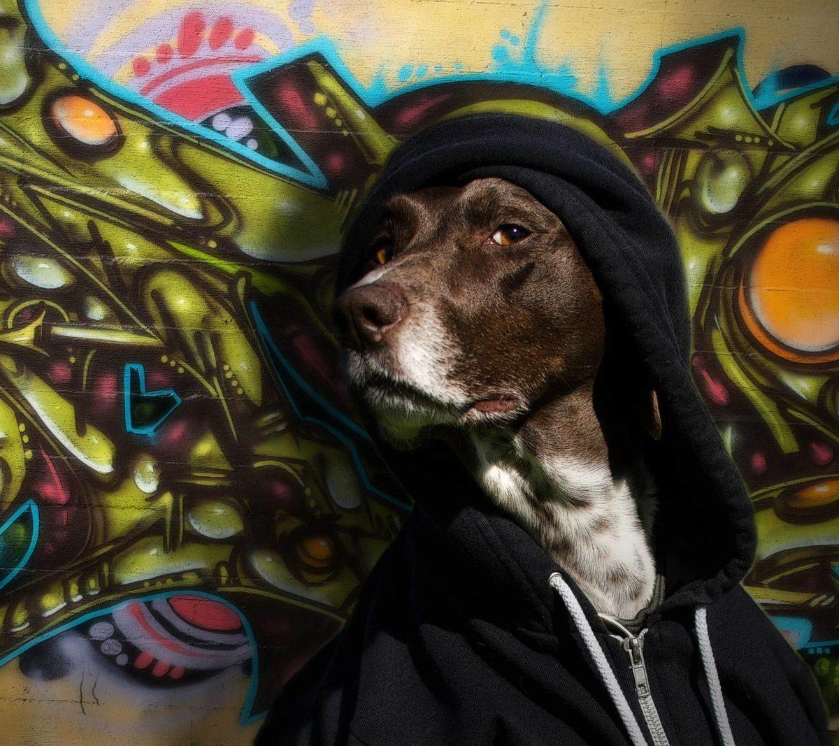 Tüm Akıllı Telefonlar İçin En İyi 70 Zedge Duvar Kağıdı