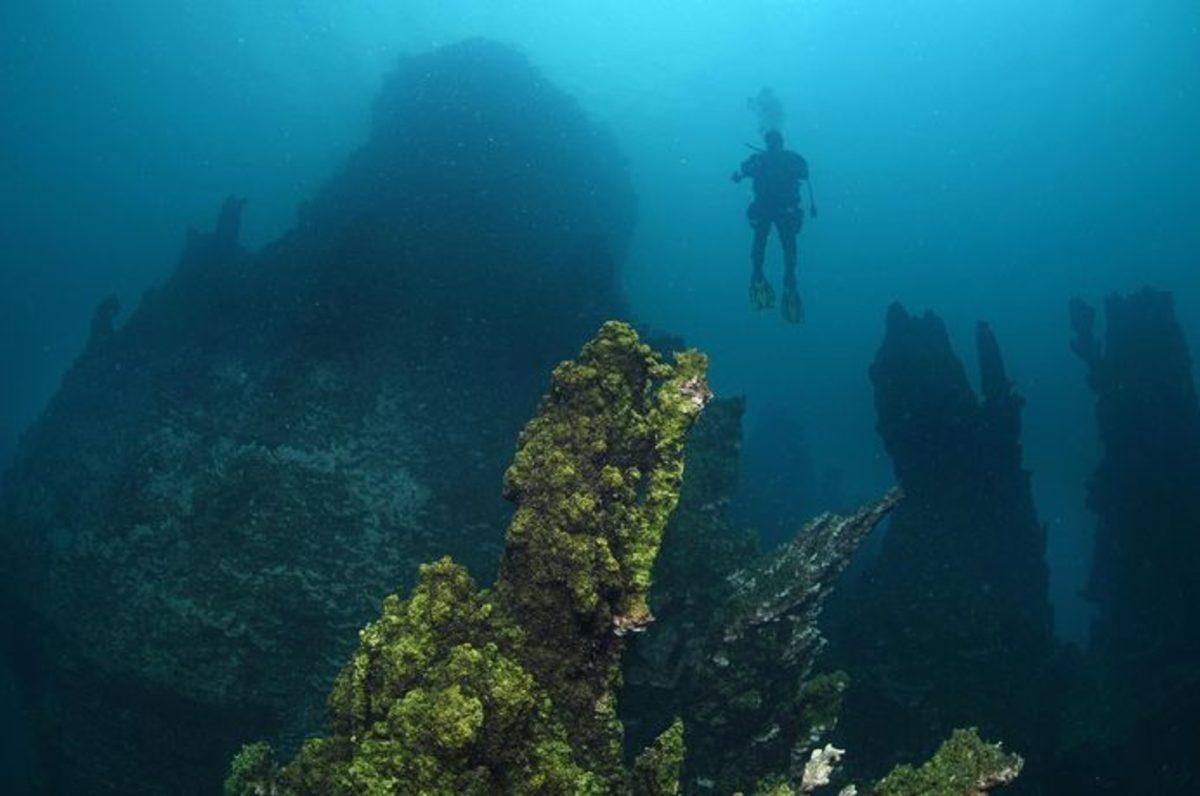 Van Gölü’nde Dünyanın En Büyük Mikrobiyalitleri Görüntülendi