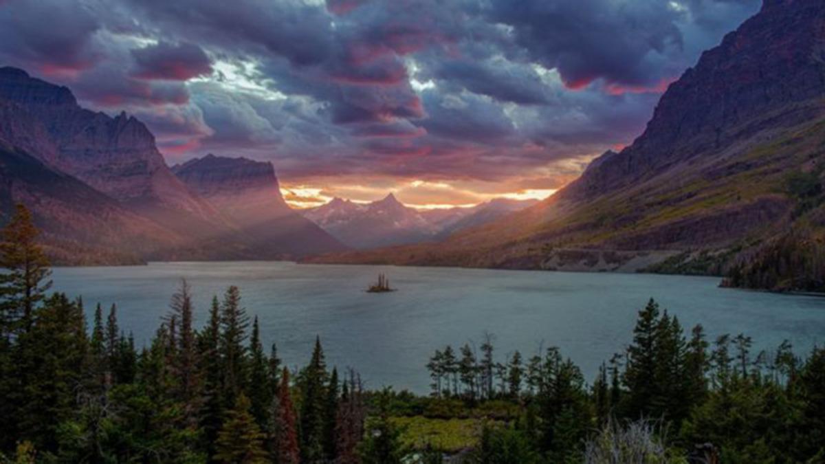 Android Cihazları Yeniden Başlatma Döngüsüne Sokan Fotoğrafın Hikayesi Belli Oldu