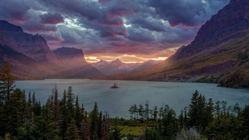 Android Cihazları Yeniden Başlatma Döngüsüne Sokan Fotoğrafın Hikayesi Belli Oldu