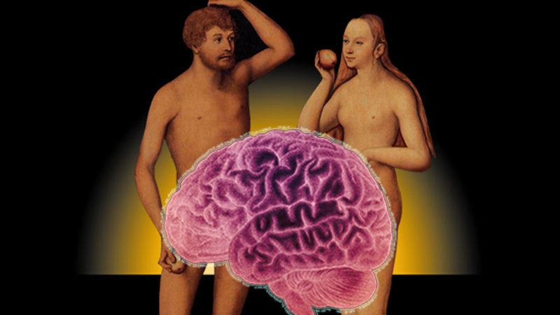 Bilime Göre Çıplaklık İçeren Bir Fotoğraf Gördüğünüzde Beyninizde Neler Oluyor?