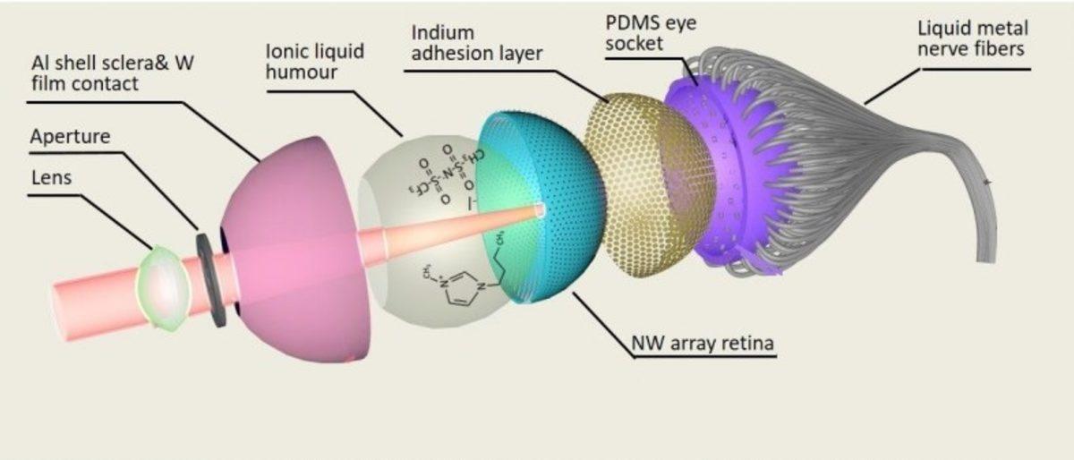 Bilim İnsanları, Dünyanın İlk 3D Biyonik Gözünü Üretti