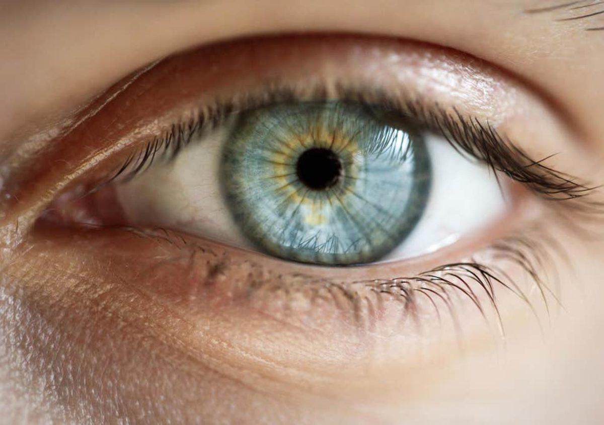 İnsan Vücudunun Hayrete Düşüren 42 Özelliği