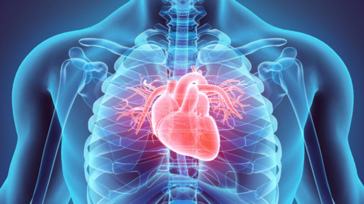 İnsan Vücudunun Hayrete Düşüren 42 Özelliği