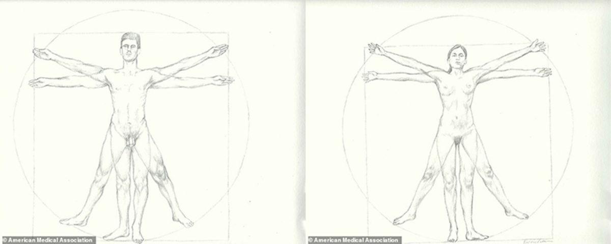 Da Vinci’nin 500 Yıllık Çizimi ile Modern İnsan Ölçülerinin Yakın Olduğu Tespit Edildi