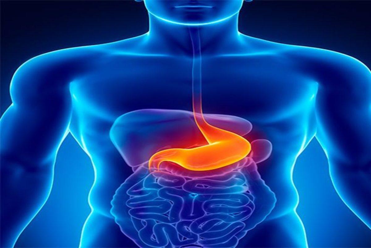 İnsan Vücudunun Hayrete Düşüren 42 Özelliği