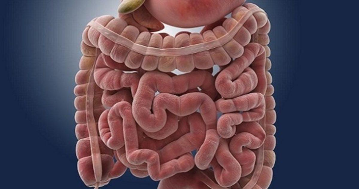 İnsan Vücudunun Hayrete Düşüren 42 Özelliği