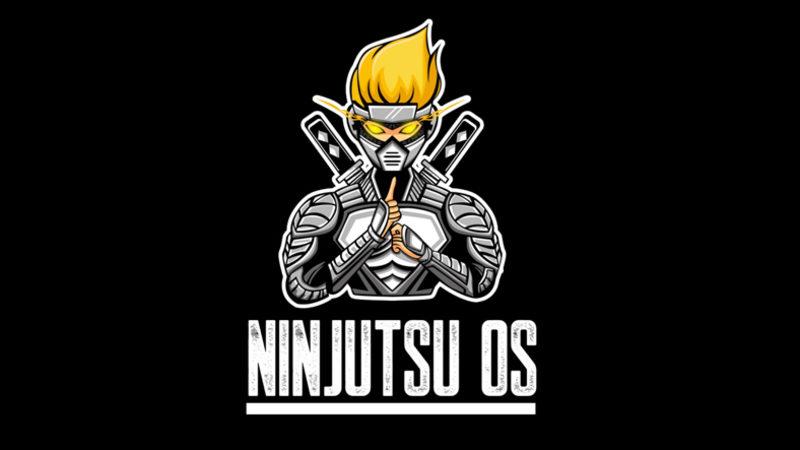 Microsoft’tan Windows 10’un Tüm Ayarlarını Değiştiren Ninjutsu OS’a Telif Hakkı Şikayeti