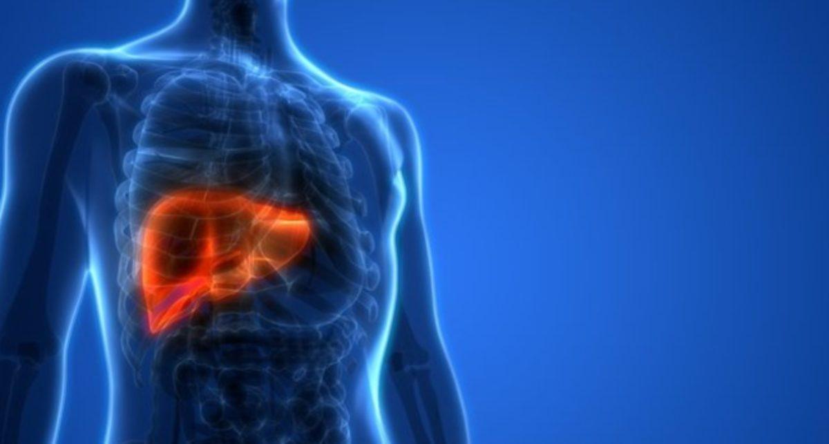 İnsan Vücudunun Hayrete Düşüren 42 Özelliği