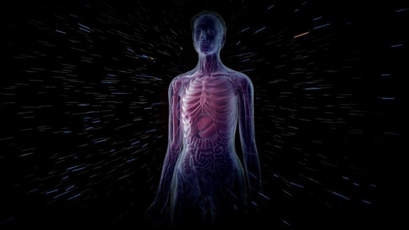 İnsan Vücudunun Hayrete Düşüren 42 Özelliği