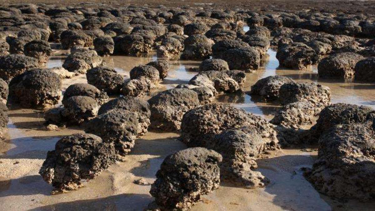 3.5 Milyar Yıl Öncesine Ait, Tarihin En Eski Yaşam Belirtilerine Ulaşıldı