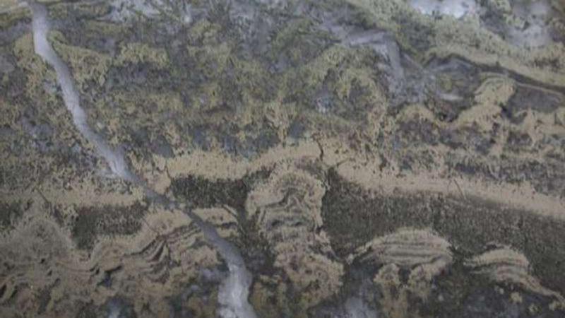 3.5 Milyar Yıl Öncesine Ait, Tarihin En Eski Yaşam Belirtilerine Ulaşıldı