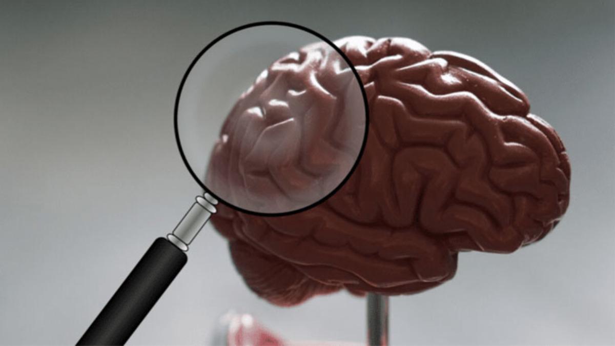 Teknolojinin Kadın ve Erkekleri Neden Farklı Etkilediği Nörolojik Olarak Açıklandı