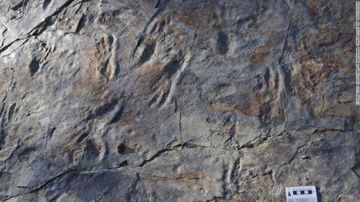 İki Ayak Üzerinde Yürüyen, Tarih Öncesi Bir Timsah Türü Keşfedildi