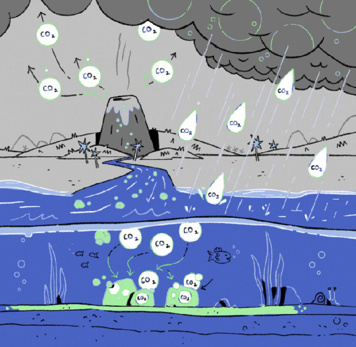 Karbondioksit Emisyonunu Tersine Çevirmek İçin Yeni Bir Yöntem Önerildi