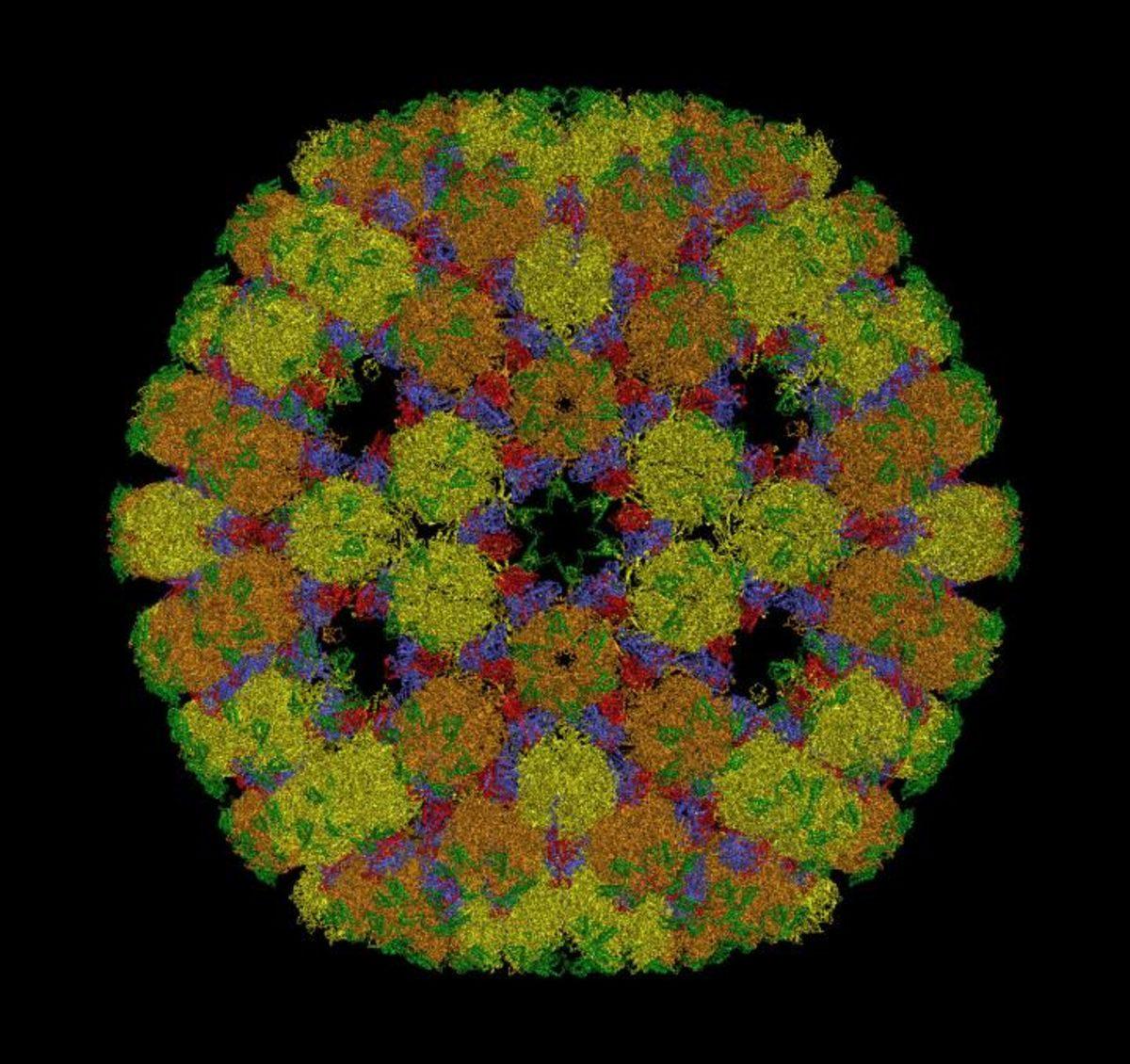 Araştırmacılar, Virüs Sorununu Geometri ile Çözecek